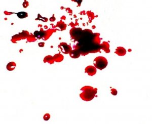 krev a její čištění