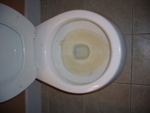 čištění WC od vodního kamene bez chemie